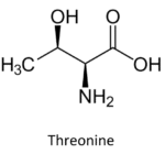 What is Threonine? Brief Explanation & Example