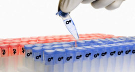 Photo Illustration of Genetic Selection of Sex