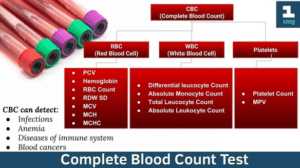 Mean Corpuscular Volume (MCV) Blood Test – Grow Health