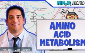 Unlocking the Power of Amino Acids with DoctorHub360.com: Essential Benefits and Features